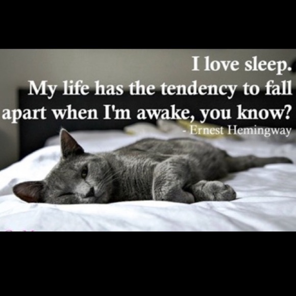 Funny Cat Photos! - Picture 12 of 15